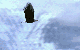 上海纳铁福传动系统有限公司 高动态强度试验专用设备（副机）国际招标澄清或变更公告